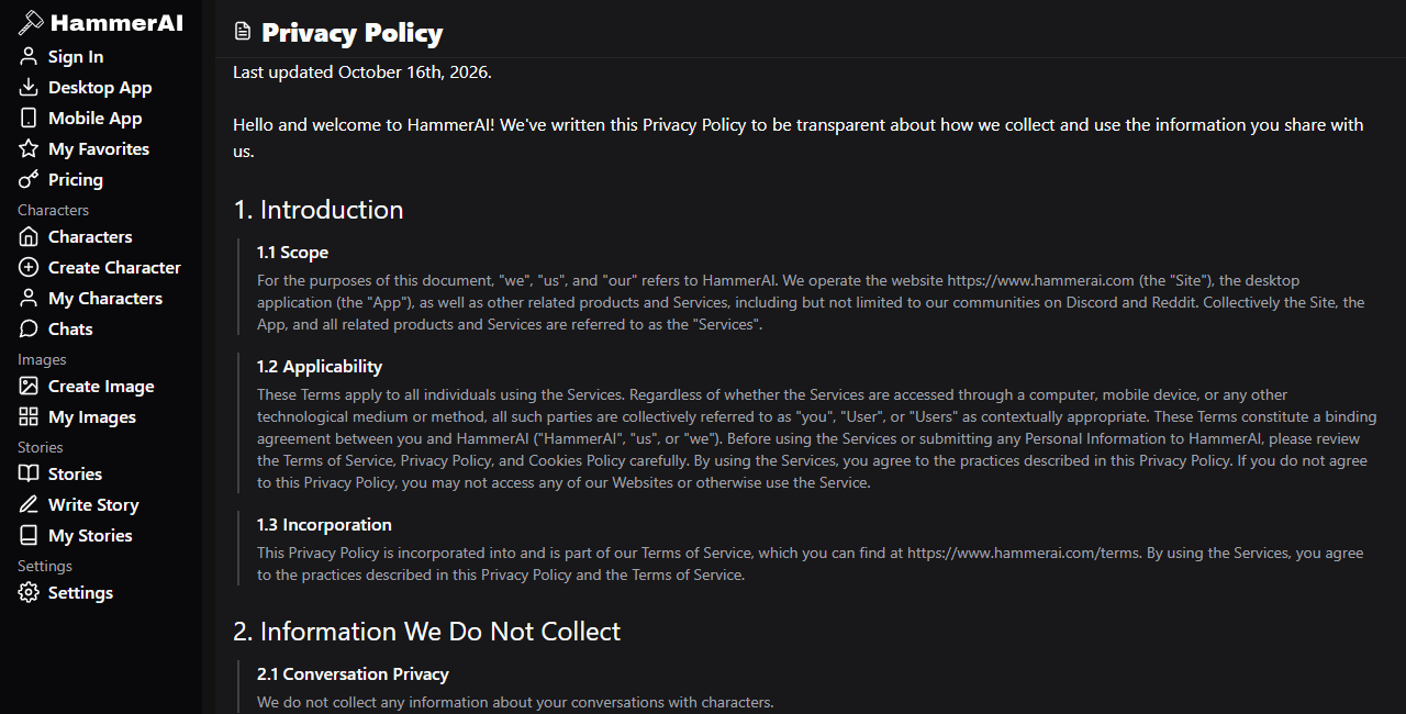 Hammer AI privacy policy introduction and conversation privacy heading